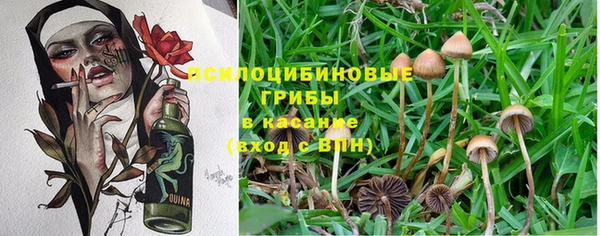гидропоника Абаза