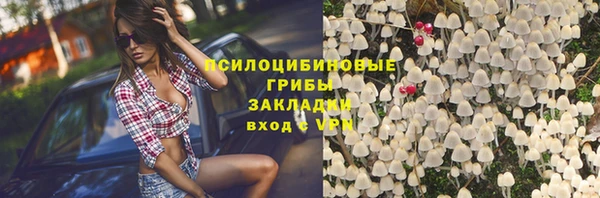 гидропоника Абаза