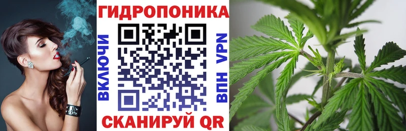 купить   МЕГА ССЫЛКА  МАРИХУАНА семена  Александров 
